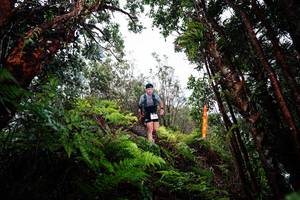 BIB: 
                            <button type="button" onclick="openModal(26204893)" class="btn btn-primary btn-sm float-right btn-popup" data-toggle="modal" data-target=".modal-high-quality">
                        <i class="fas fa-shopping-cart"></i> Add to Cart
                    </button>
                                            <button type="button" onclick="isThisMe(26204893, true)" class="btn btn-success btn-sm float-right btn-popup btn-isme hidden" data-toggle="tooltip" data-placement="bottom" title="นี่คือรูปของคุณใช่ไหม คลิกที่นี่เพื่อเอาเข้าอัลบั้ม">
                        <i class="fas fa-plus"></i> Add to album
                    </button>
                    <button type="button" onclick="isThisMe(26204893, false)" class="btn btn-warning btn-sm float-right btn-popup btn-isnotme hidden">
                        <i class="fas fa-ban"></i> Remove from album
                    </button>